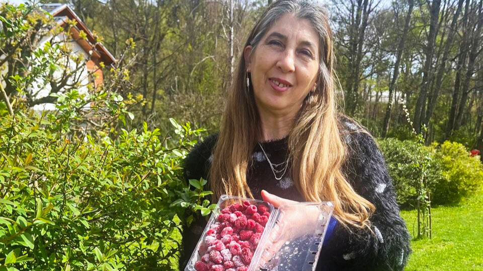 Yeny Campos, small farmer from Chile growing raspberries