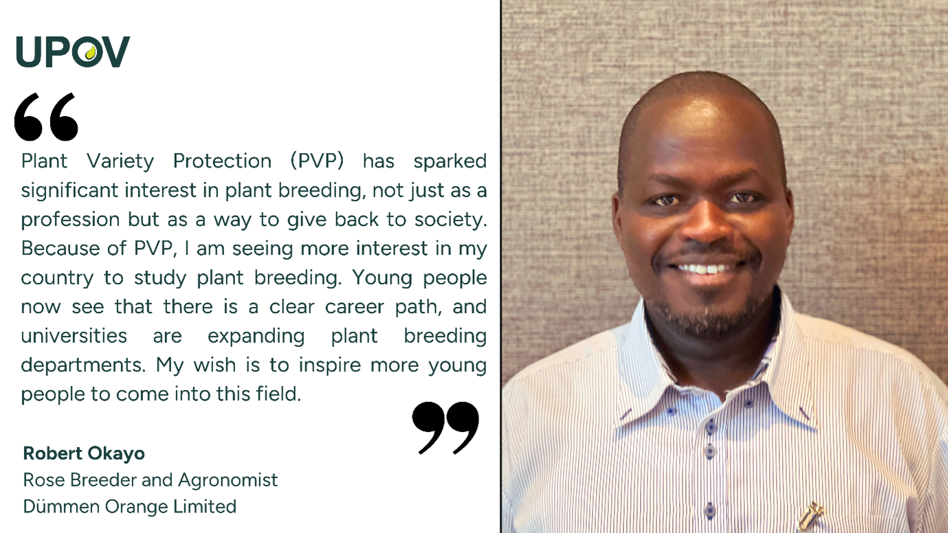 ke-robert-okayo-breeder_quote ke-robert-okayo-breeder_quote