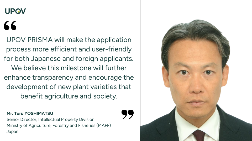 Quote of Mr Toru Yoshimatsu